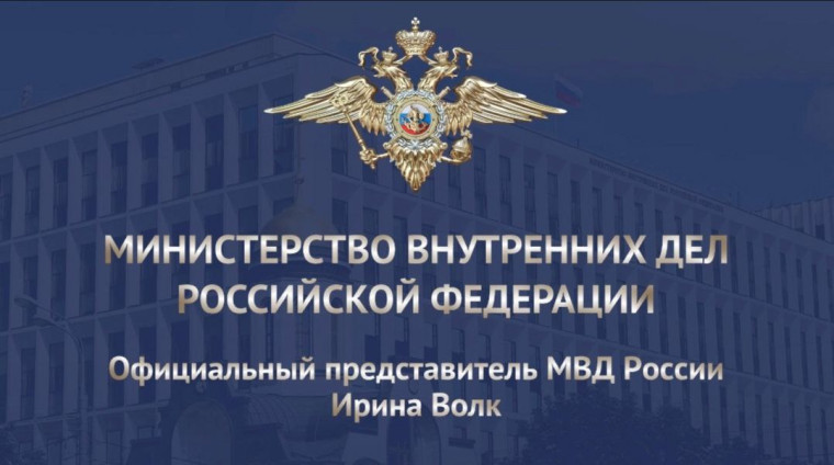 МИНИСТЕРСТВО ВНУТРЕННИХ ДЕЛ РОССИЙСКОЙ ФЕДЕРАЦИИ.